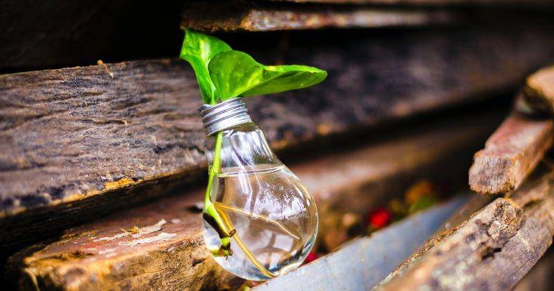 Pexels/Bruno Scramgnon