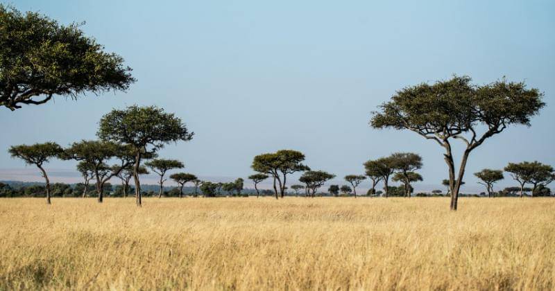 Unsplash/David Clode