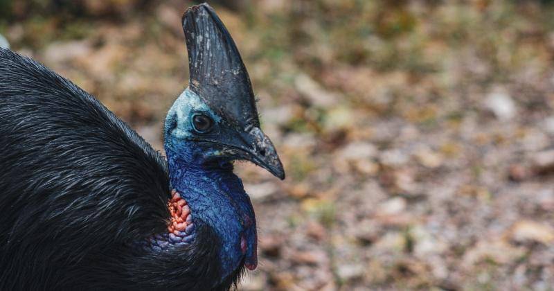 Unsplash/Daniel Pelaez Duque