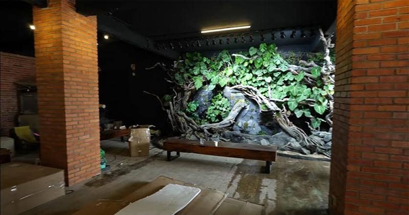 Youtube.com/Baim Paula