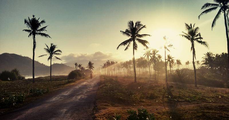 Unsplash/Hugo Matilla