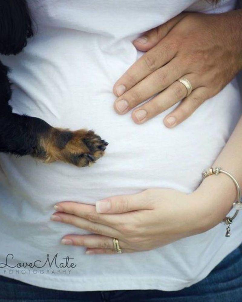 Pinterest.com/SheKnows