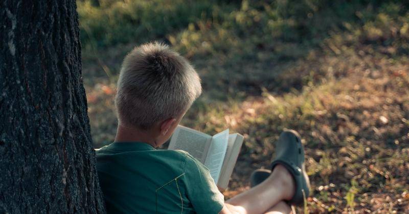 Pexels/Pexels User Kostina