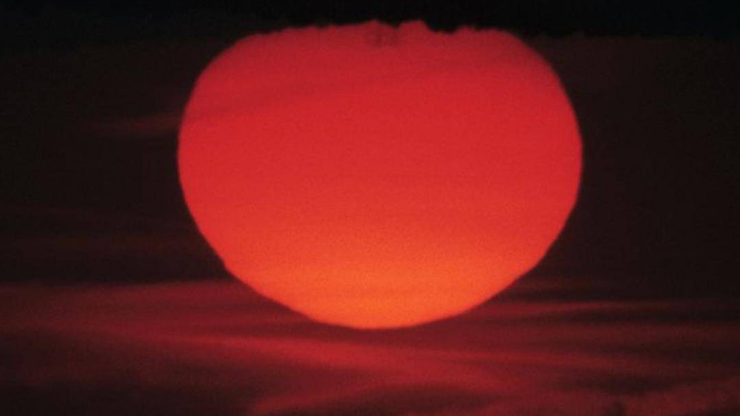 nationalgeographic.grid.id