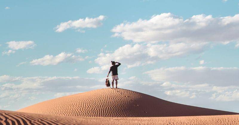 Pexels/Taryn Elliott