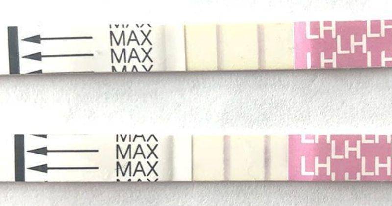 Pinterest.com/BlessOurLittles