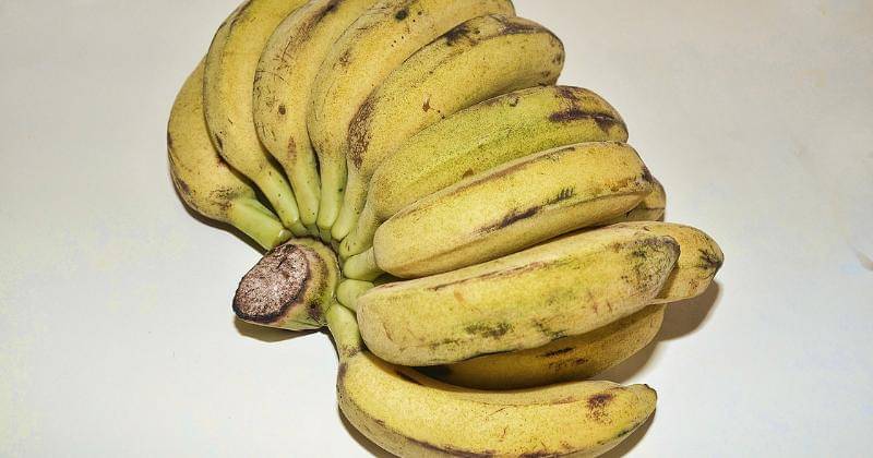 Flickr.com/Choo Yut Shing