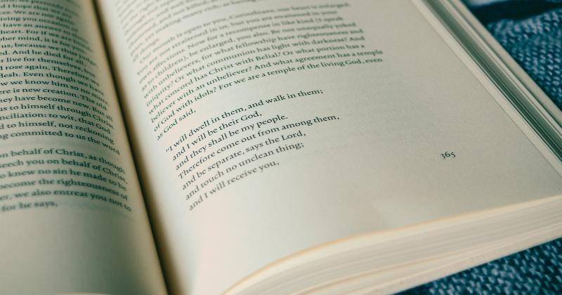 Pexels/Jonathan Meyer