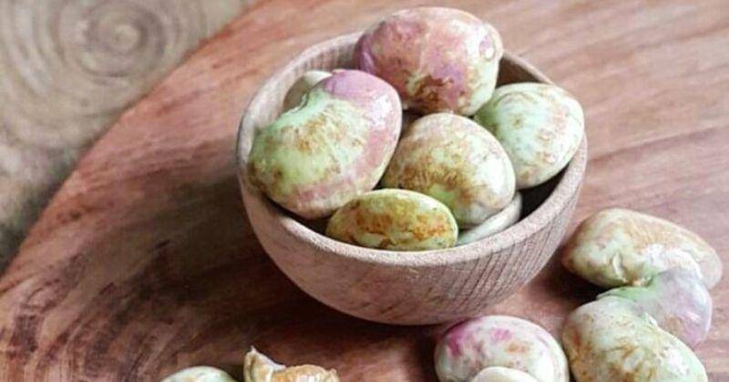 Instagram/Fitrahapsariapsari