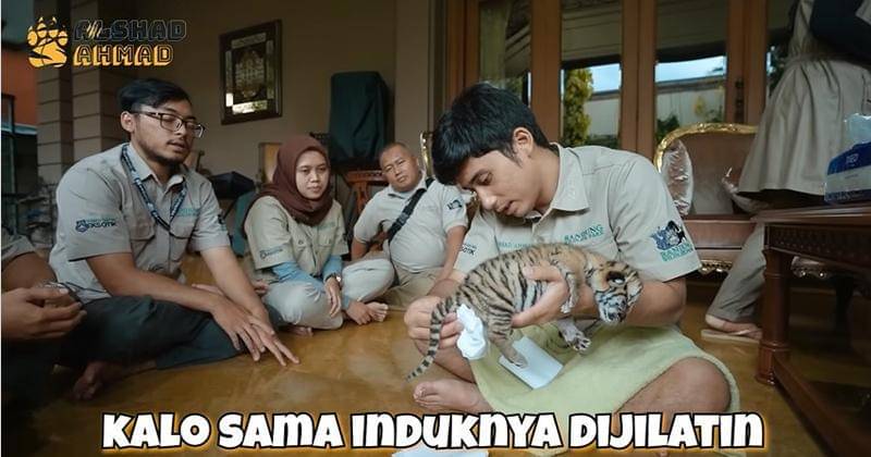 Youtube.com/Alshad Ahmad