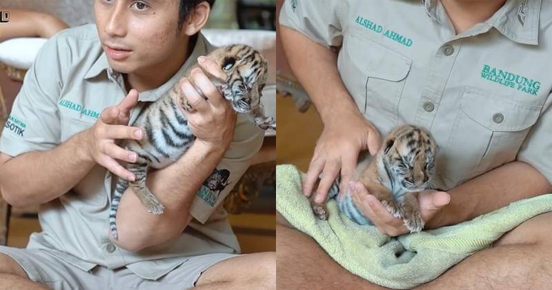 Youtube.com/Alshad Ahmad