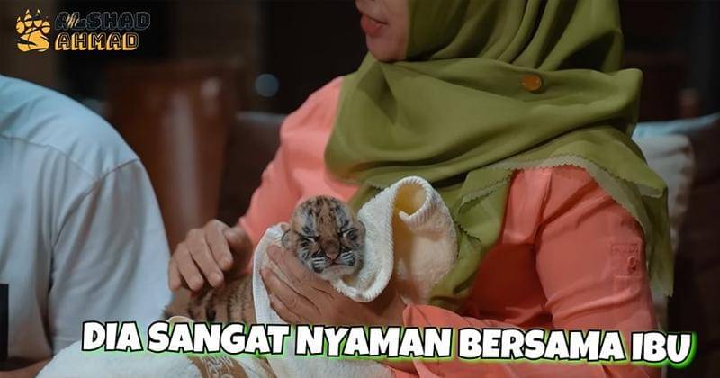 Youtube.com/Alshad Ahmad