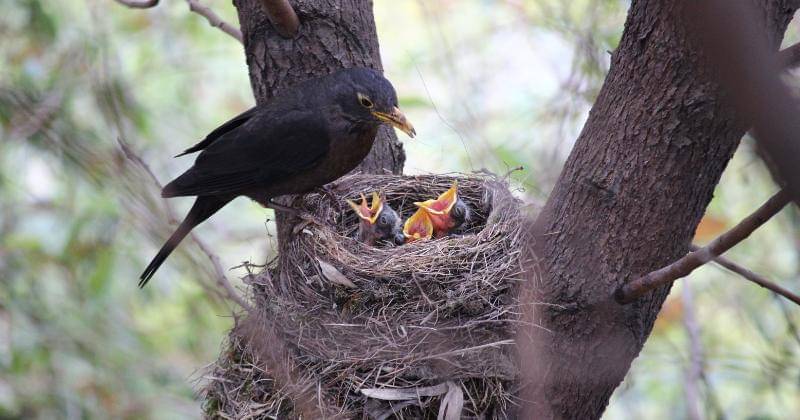 Unsplash/Fabrizio Frigeni