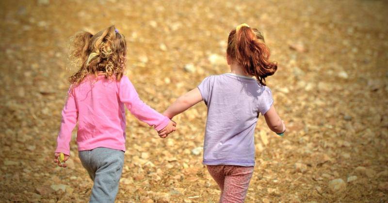 Pixabay/Moshe Harosh