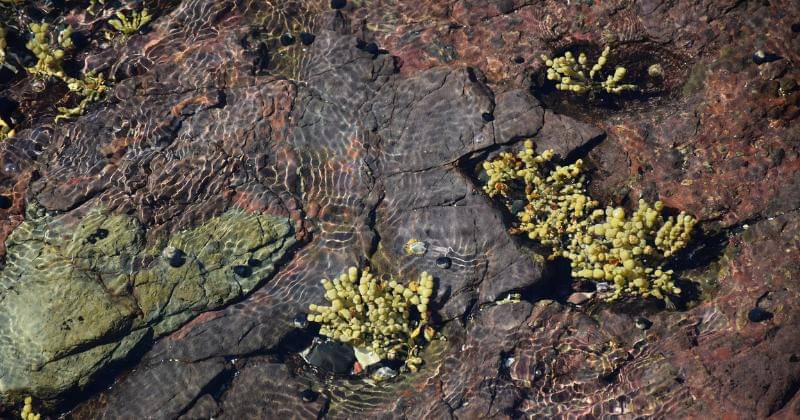 Pixabay/EZ_Ela_Zelgert