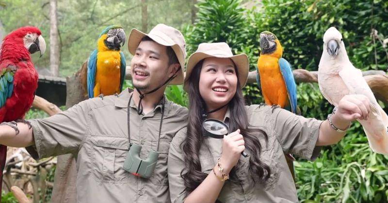 Youtube.com/Jess No Limit