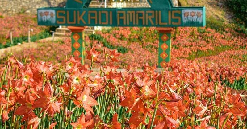 Instagram.com/jogja24jam