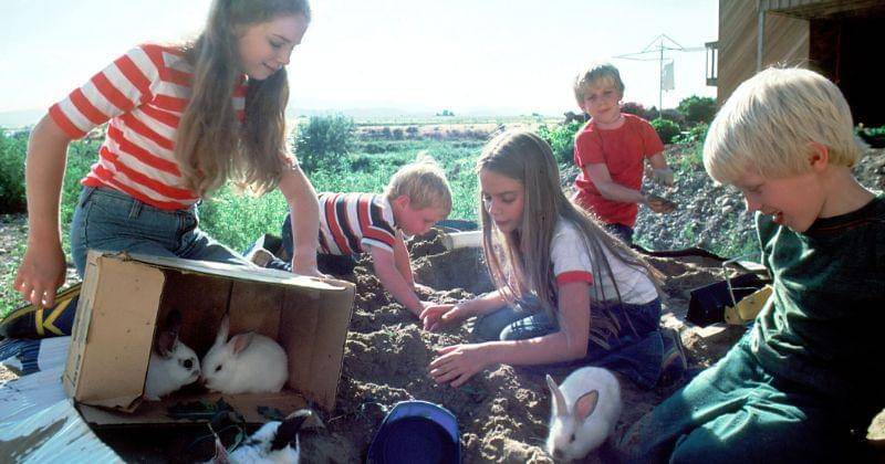 (unsplash/National Cancer Institute)