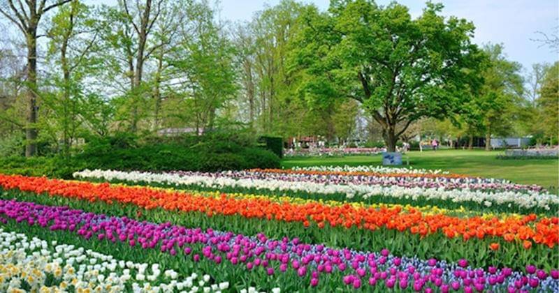 Ilustrasi - Freepik/Eagle2308