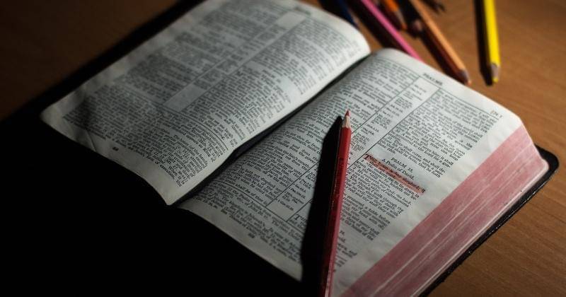 Pexels/John-Mark Smith