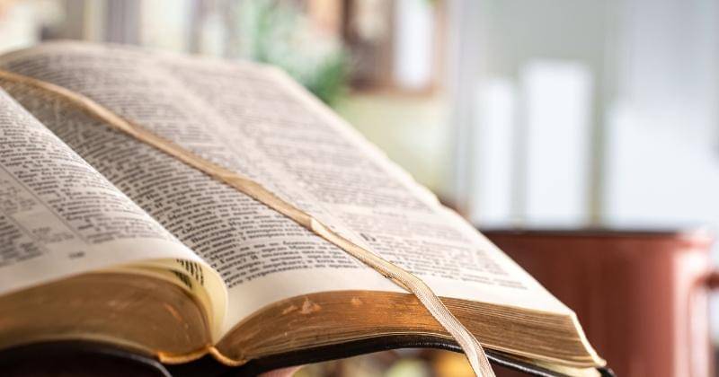 Freepik/pvproductions