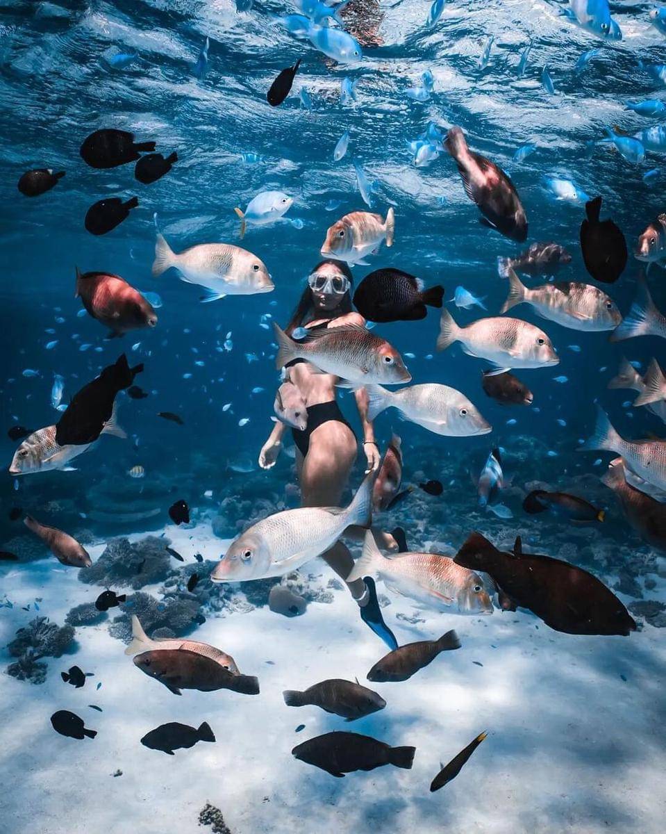 Instagram.com/westernaustralia