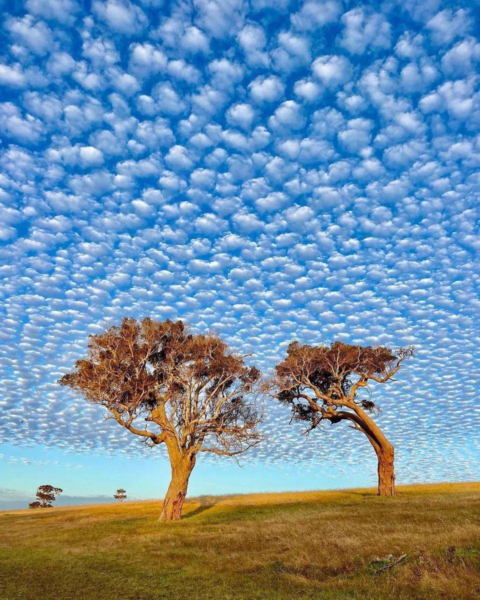 Instagram.com/westernaustralia