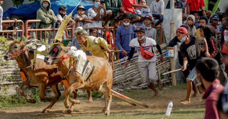 Pexels/Wizurai Mahatma