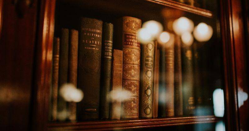 Unsplash/clarissemeyer