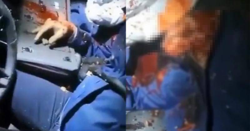 Twitter.com/kubus91681132