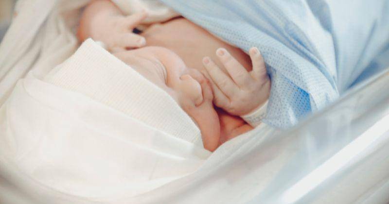 Pexels.com/Vidal Balielo Jr