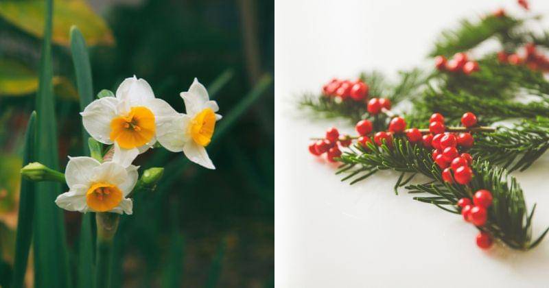 Unsplash/Mohammad Asadi & Unsplash/Markus Spiske