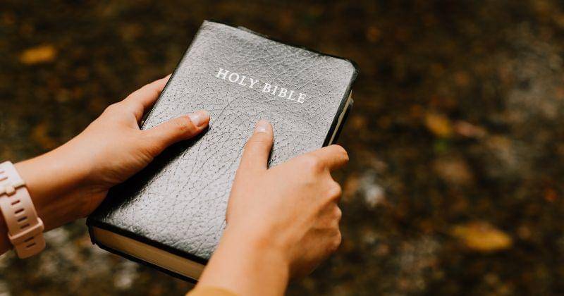 Unsplash/Priscilla Du Preez