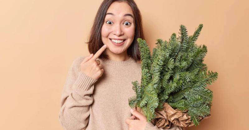 Freepik/Wayhomestudio