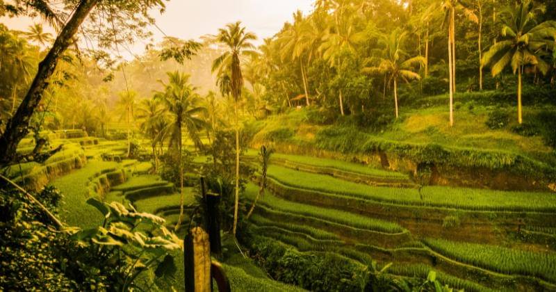 Unsplash/Frans Daniels