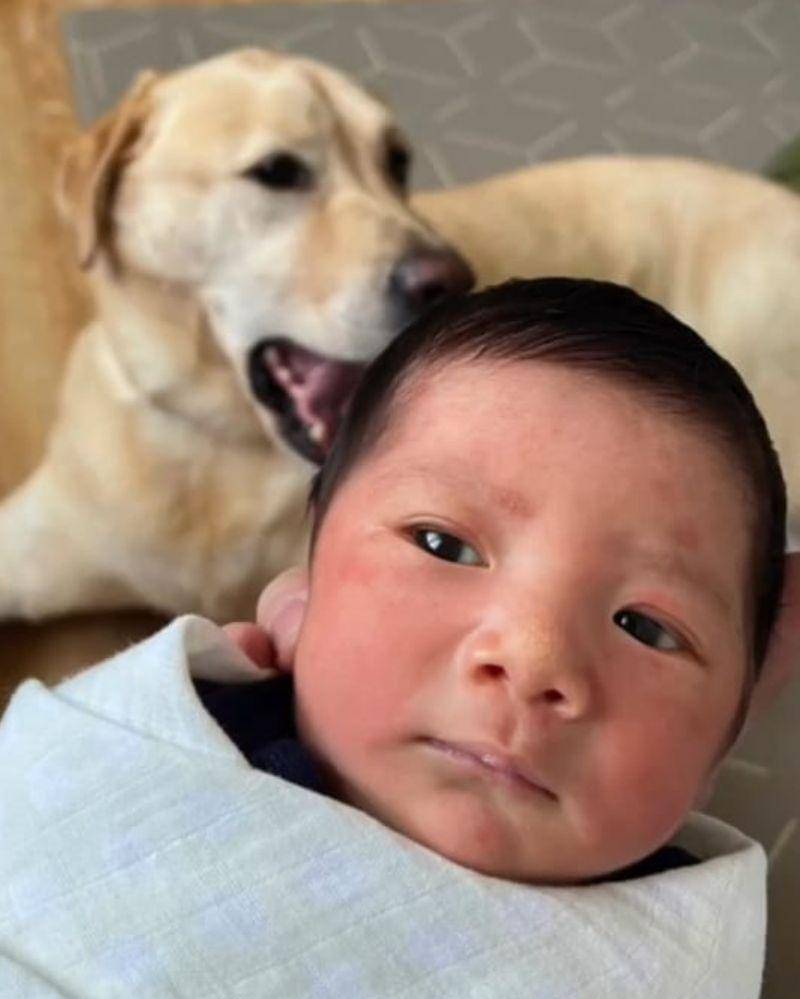 Instagram.com/@arnoldpo