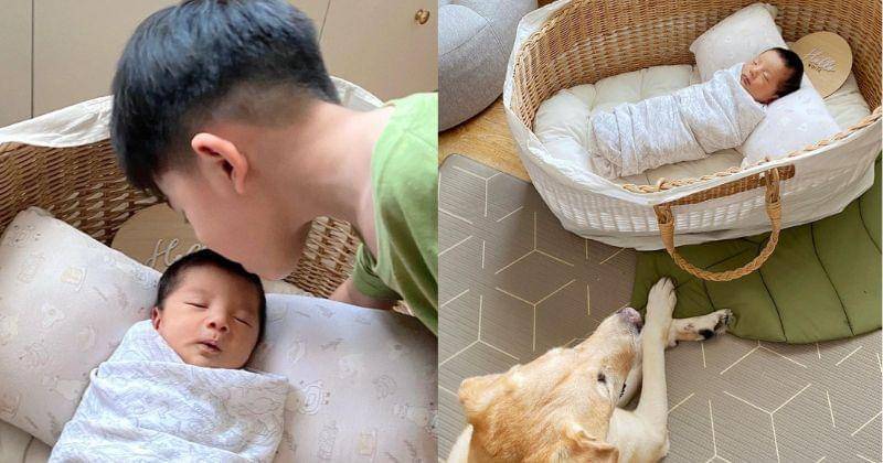 Instagram.com/@tiffanysoetanto