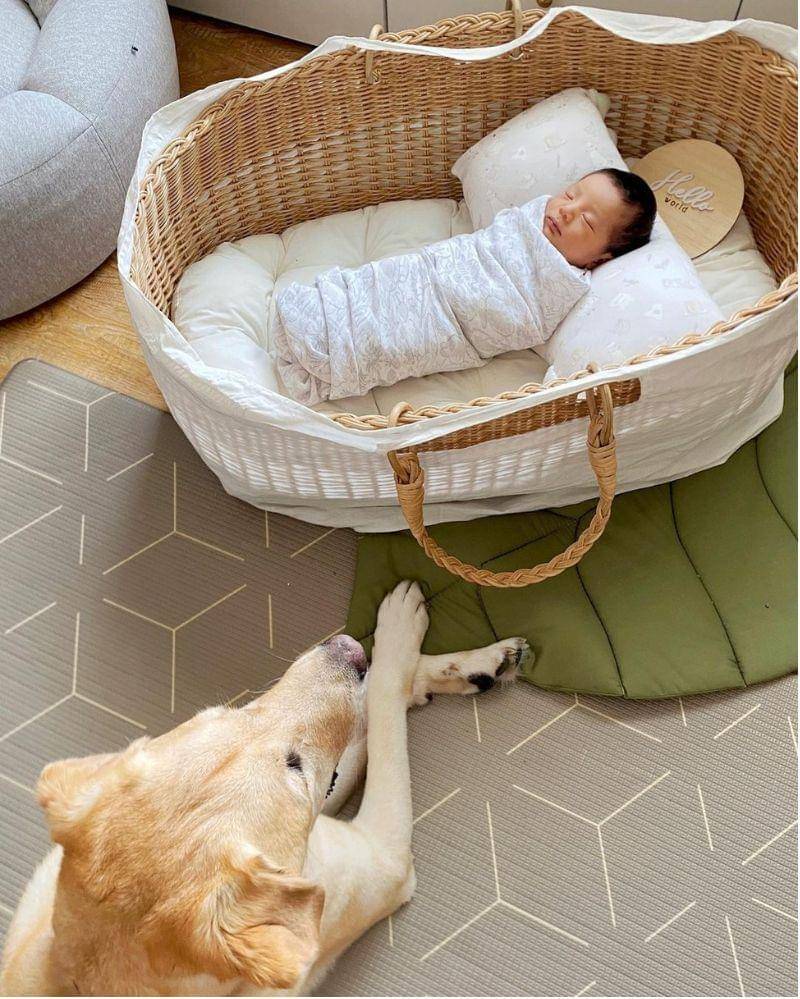 Instagram.com/@tiffanysoetanto