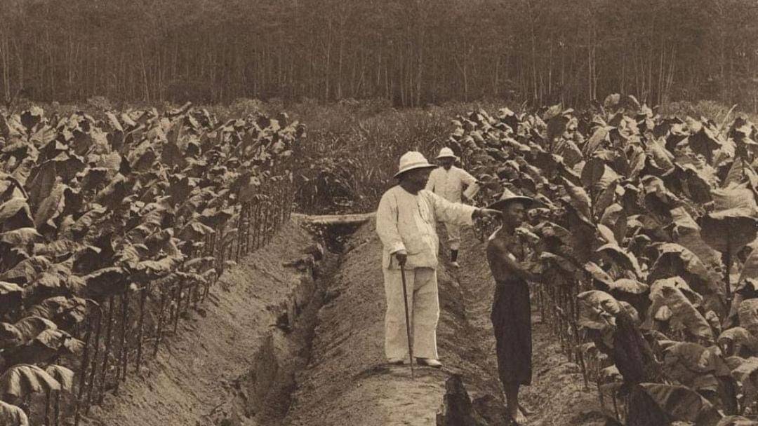 Instagram.com/perfectlifeid