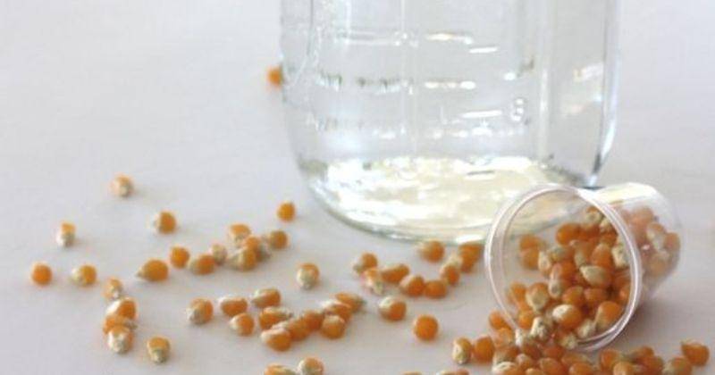 Pinterest.com/TinaRobertson