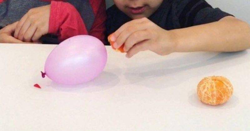 Pinterest.com/RaisingDragons