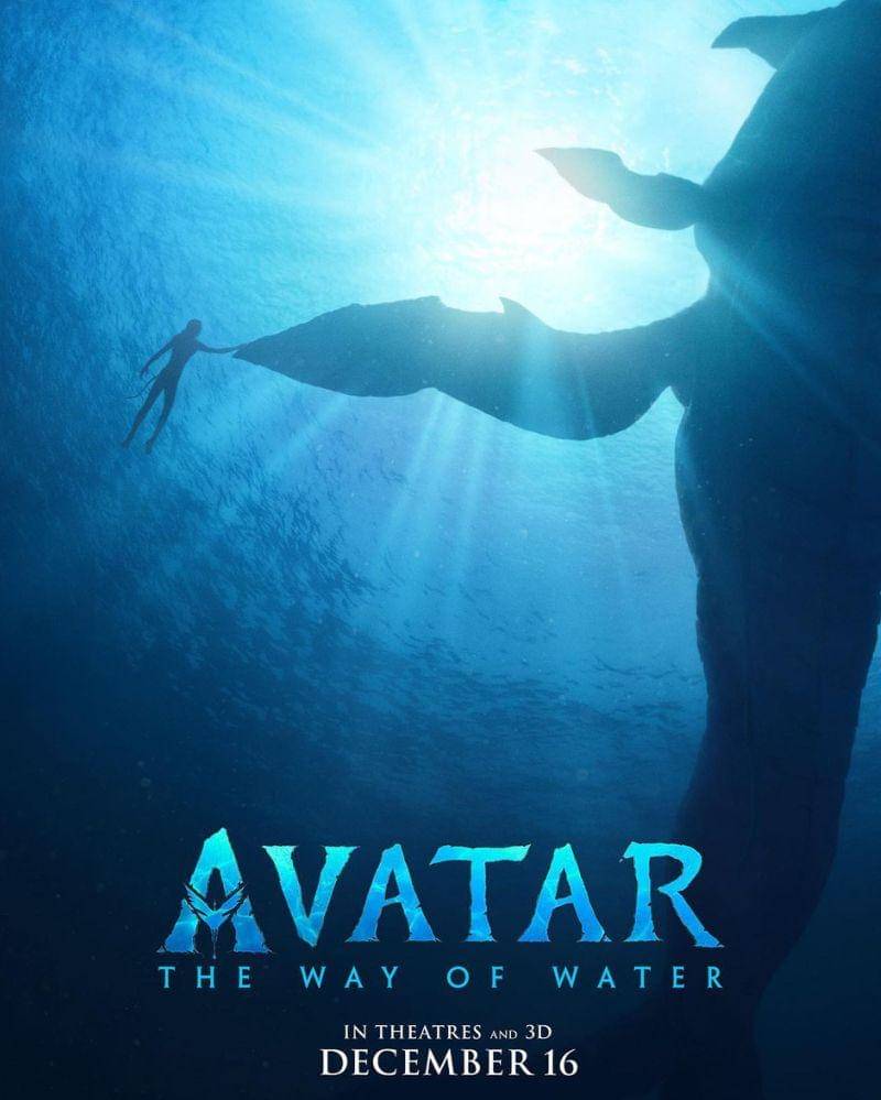 Instagram.com/avatar