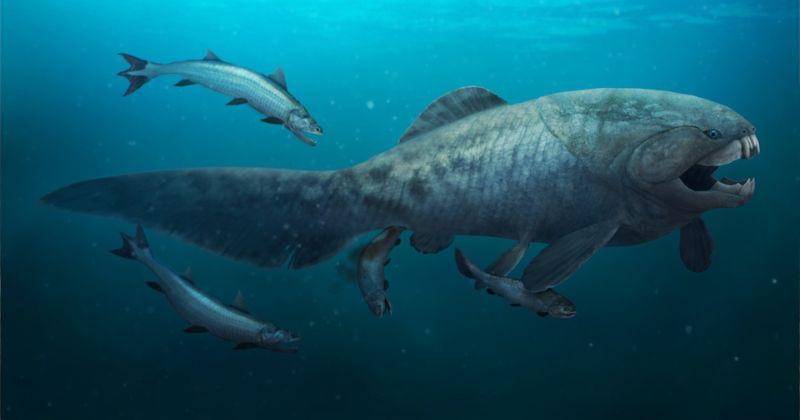 eartharchives.org/Julio Lacerda