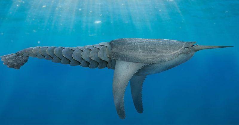 eartharchives.org/Julio Lacerda