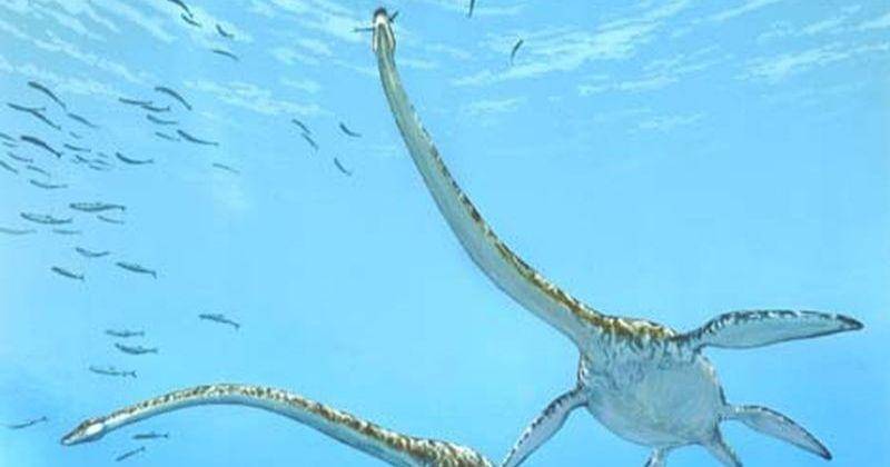 dinosaurpictures.org