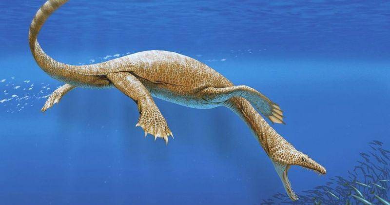 Pixels.com/Jaime Chirinos