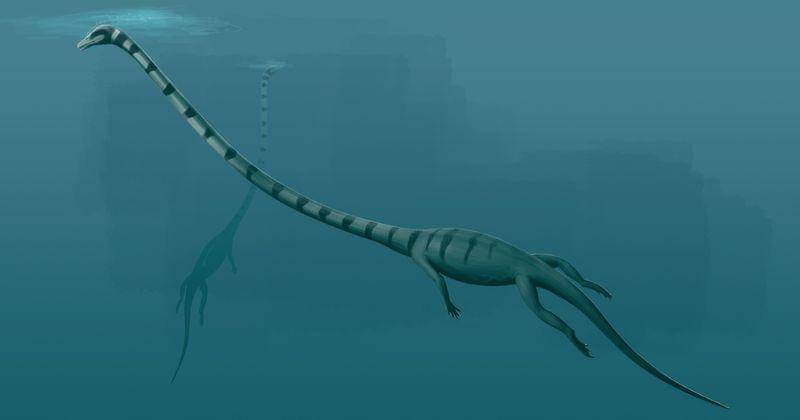 eartharchives.org/Chris Masna