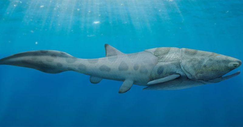 eartharchives.org/Julio Lacerda