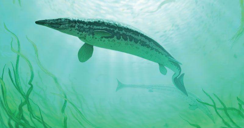 eartharchives.org/Andrey Atuchin