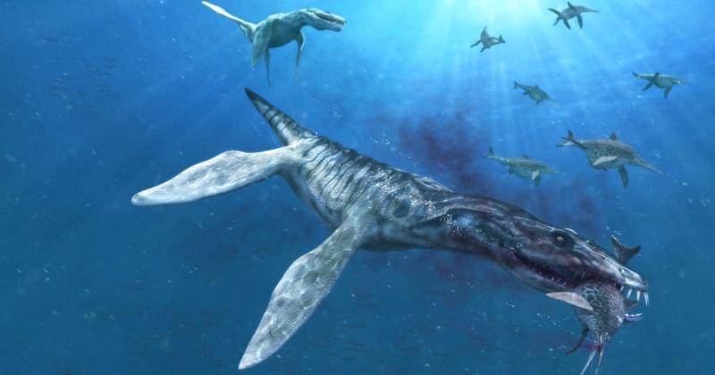 primalcarnage.fandom.com